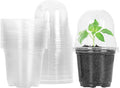 MIXC Clear Plant Nursery Pots by MIXC