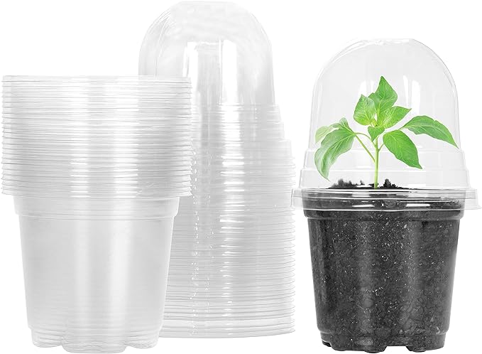 MIXC Clear Plant Nursery Pots by MIXC