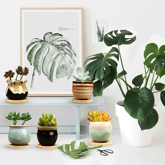 Brajttt 2.1 Inch Succulent Pot - Image 4