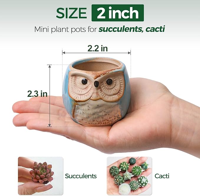 Ceramic Owl Succulent Planter Pots with Drainage Holes, 12 Pack