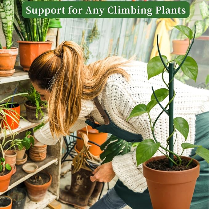 4 Pack Stackable Monstera Plant Support Stakes, 29inch Climbing Plant Sticks - Image 5