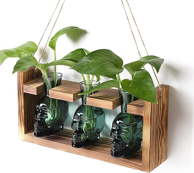 Terrarium Skull Propagation Station Set of 3 Glass Vases, Dark Green