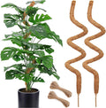 Soupiar 2 Pack 60'' Bendable Moss Pole by Soupiar