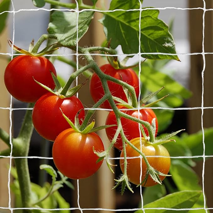 Tcamp Heavy-Duty Polyester Garden Trellis Netting Plant Climbing Net - Image 6