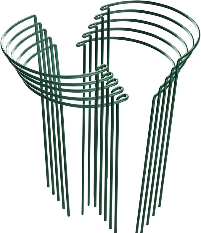 Plant Support Cages 10 Pack, Dark Green Iron Half Circle Stakes