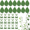 100 Pcs Plant Climbing Wall Fixture Clips Self-Adhesive Hook Vines Traction by LUCKJUJU