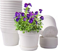 homenote Pots for Plants, 15 Pack 6 Inch Plastic Planters by HOMENOTE
