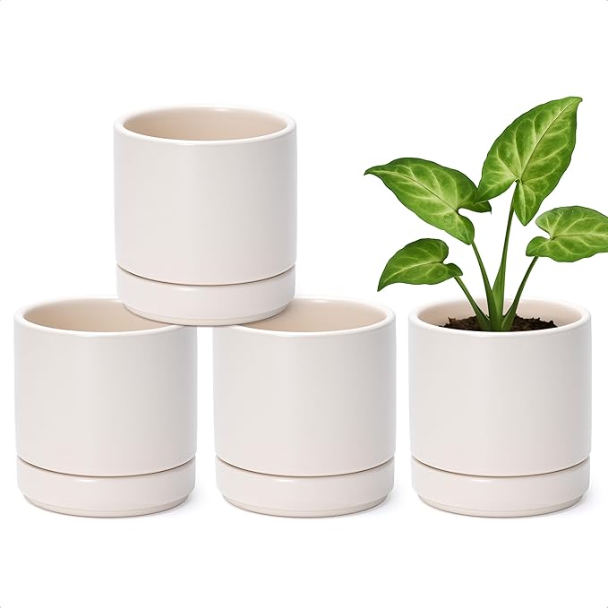 Planters, Set of 4 Small Round Ceramic Pots in Oatmeal with Saucers