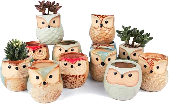 Ceramic Owl Succulent Planter Pots with Drainage Holes, 12 Pack