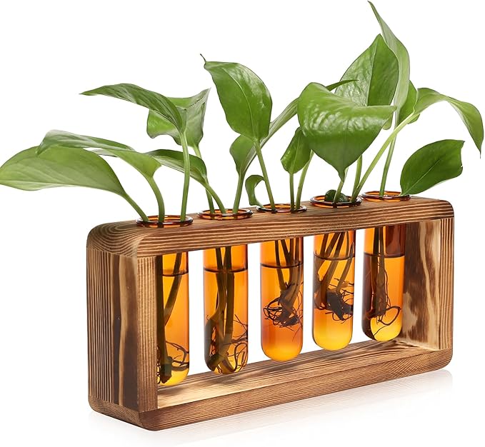 Terrarium Propagation Station, Amber Glass with 5 Test Tubes