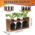 Terrarium Skull Propagation Set, 3 Black Borosilicate Vases with Wood Stand