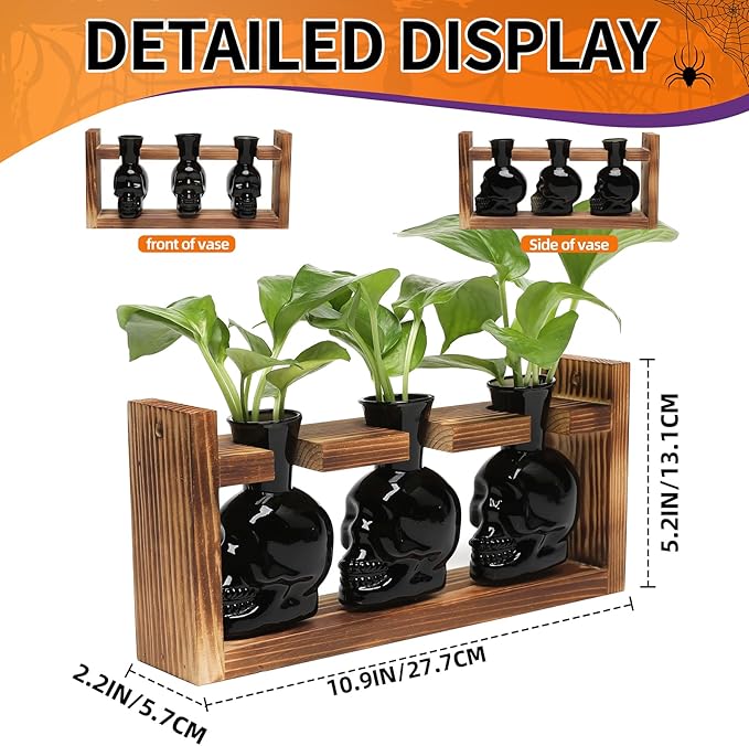 Terrarium Skull Propagation Set, 3 Black Borosilicate Vases with Wood Stand