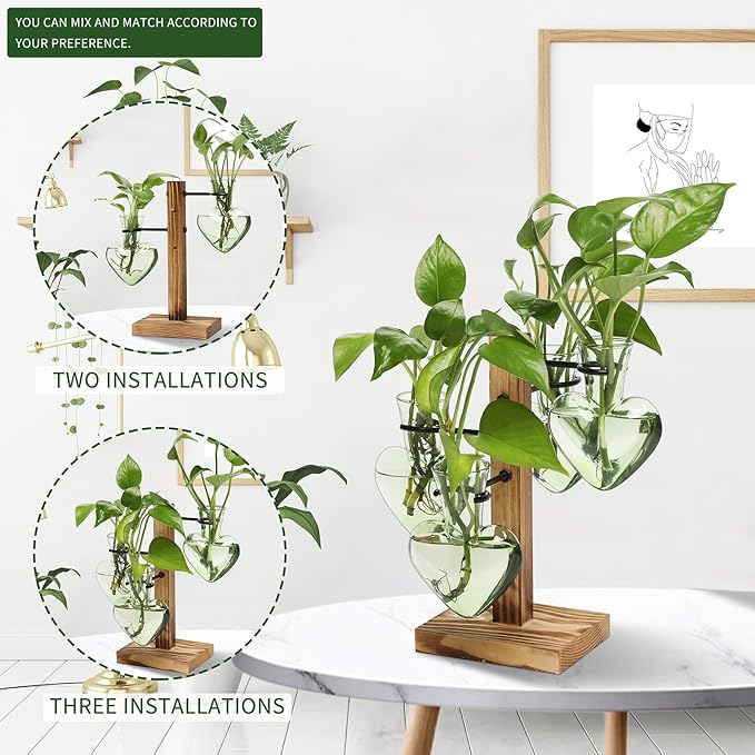 Terrarium Plant Propagation Station, Heart-Shaped Green Glass with Wood Stand