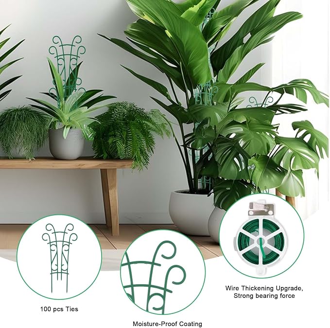Plant Trellis for Potted Plants 12 Pack Stackable Indoor Outdoor Climbing - Image 4