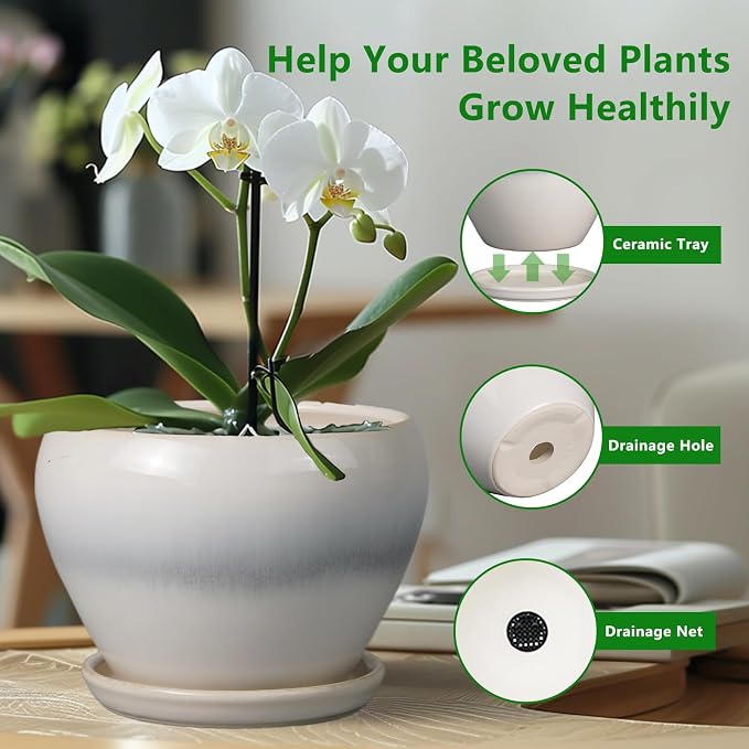 10 Inch Ceramic Planter Pot - Image 5