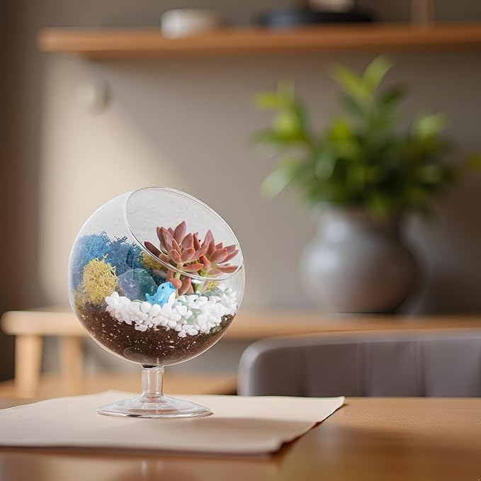 Terrarium Kit, Oval Glass Terrarium with Reindeer Moss, 6-Inch