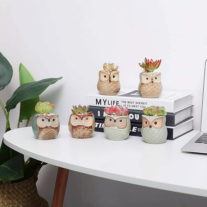 Ceramic Owl Succulent Planter Pots with Drainage Holes, 12 Pack
