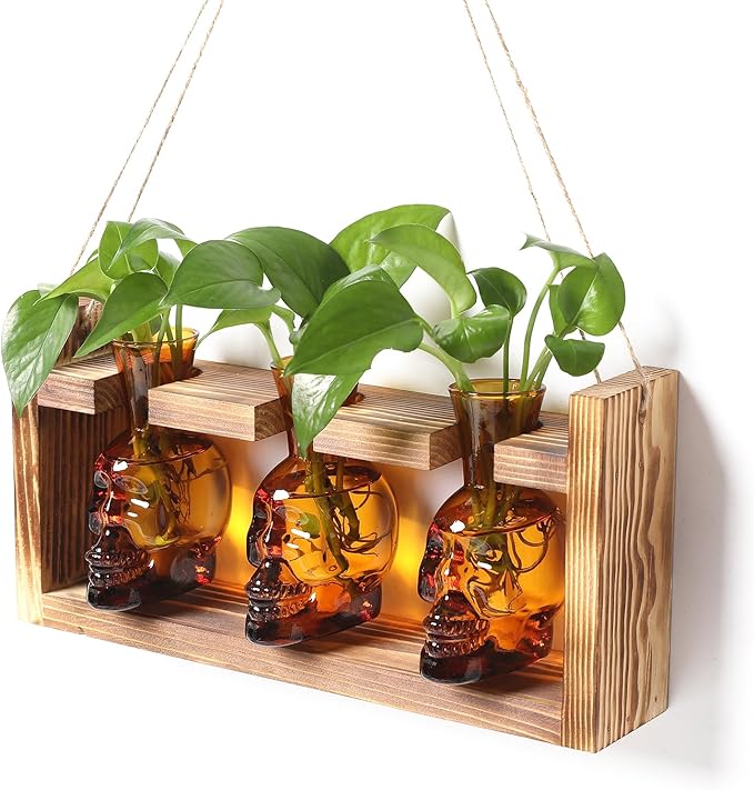 Terrarium Propagation Station, 3-Piece Amber Skull Glass Set with Wood Stand