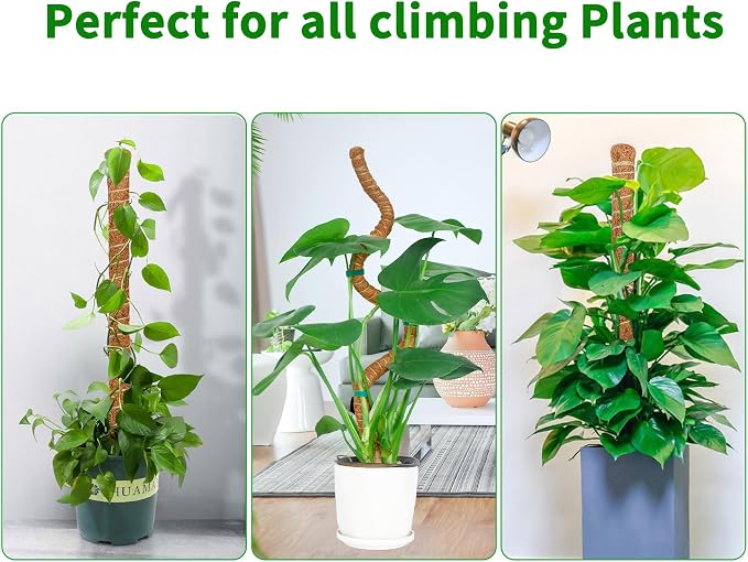 2 Pack 60 Inch Moss Pole Monstera Plant Support, Coir Moss Poles - Image 6