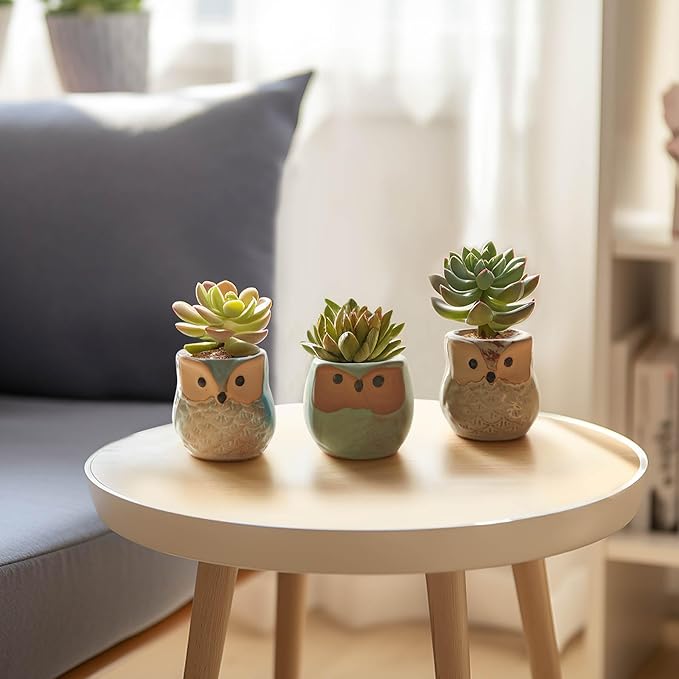 Ceramic Owl Succulent Planter Pots with Drainage Holes, 12 Pack