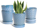 EFISPSS Plant Pots, 5 Inch Pots by EFISPSS
