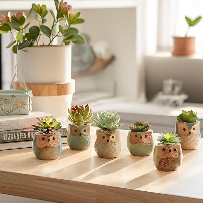Ceramic Owl Succulent Planter Pots with Drainage Holes, 12 Pack