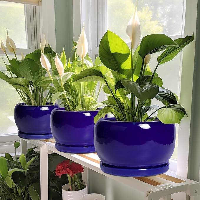 SQOWL 8 Inch Plant Pot - Image 6