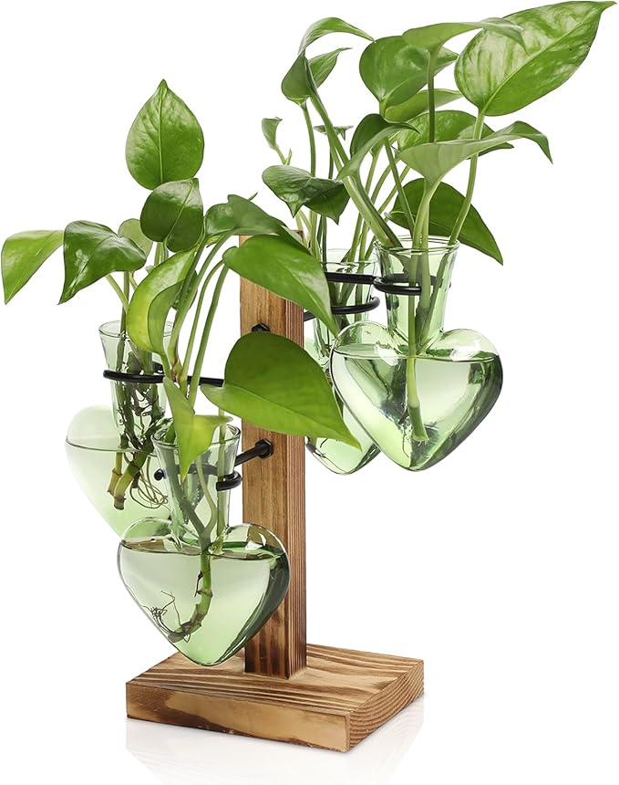 Terrarium Plant Propagation Station, Heart-Shaped Green Glass with Wood Stand