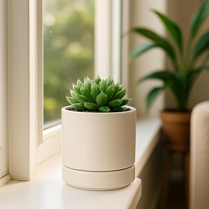 Planters, Set of 4 Small Round Ceramic Pots in Oatmeal with Saucers