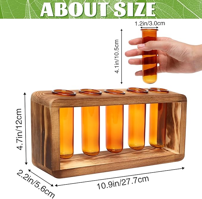 Terrarium Propagation Station, Amber Glass with 5 Test Tubes