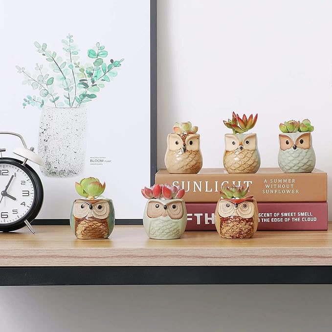 Ceramic Owl Succulent Planter Pots with Drainage Holes, 12 Pack