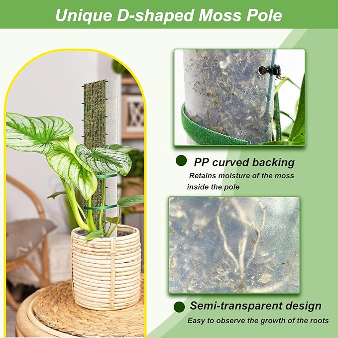 60"/40"/24" Metal Moss Pole, D Shape Sphagnum Moss Pole, Moss Poles - Image 4