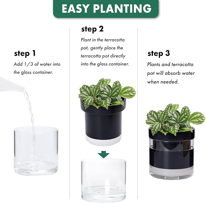 Phoenix Vine 6 Inch Self Watering Terracotta Planter - Image 7