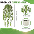 Artificial Plant String of Pearls, Green Plastic, 15 Inch Tall