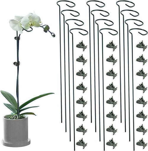 12 Pack Plant Support Stakes by Auaok