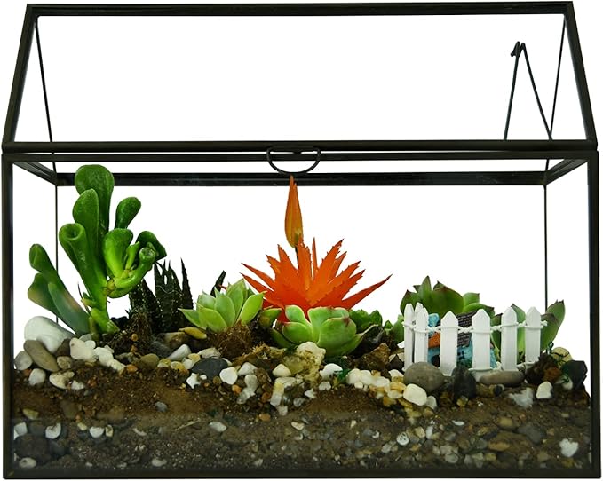 Terrarium, Large Black House-Shaped Glass Planter with Swing Lid