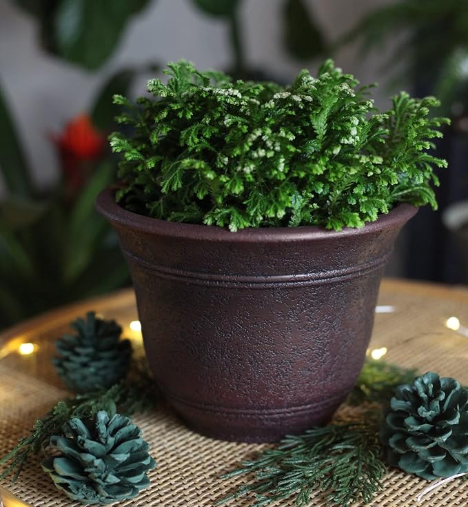 The HC Companies Sierra Round Self-Watering Pot - Image 3
