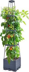 GENMOUS 4 Tiered Tomato Planter by GenMousCo