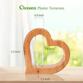 Terrarium Heart Shaped Glass Tube Plant Stand, Pine Wood, Brown