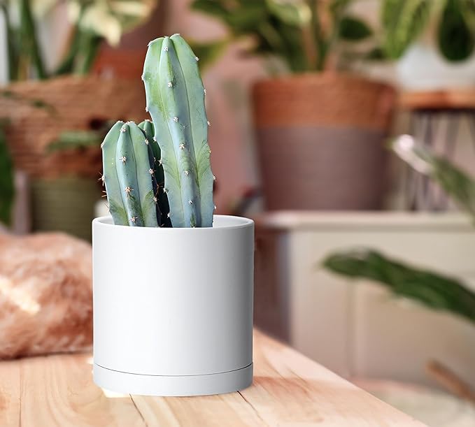 Planters Set of 4 Matte White Plastic Plant Pots with Drainage and Saucers