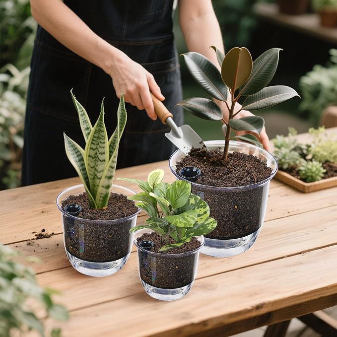 Self Watering Pots, 3 Pack 4 Inch Clear Plant Pot Self Watering Planter Flowers - Image 6