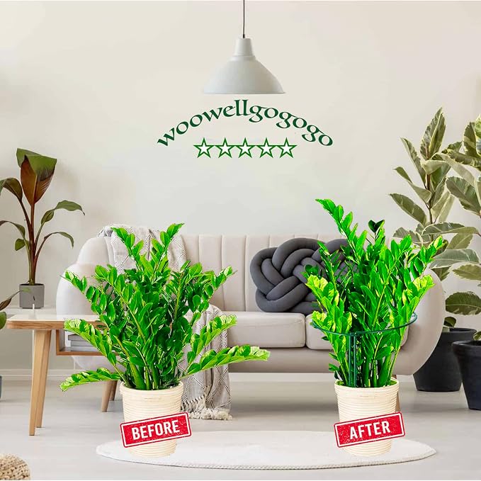 Snake Plant Support Stake - Image 3