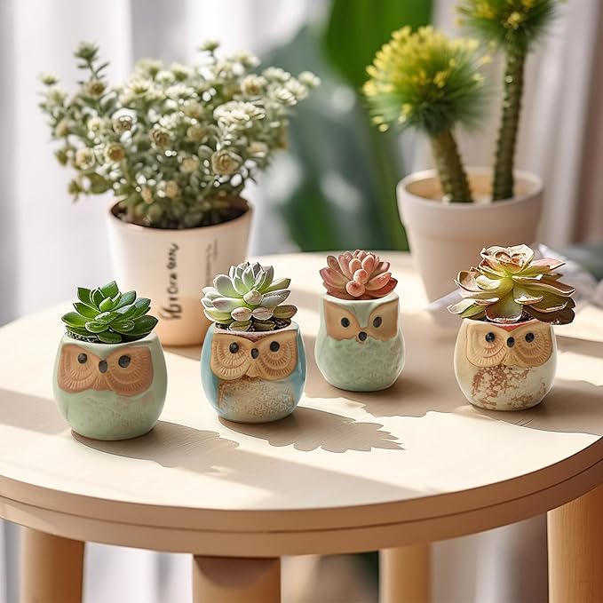 Ceramic Owl Succulent Planter Pots with Drainage Holes, 12 Pack