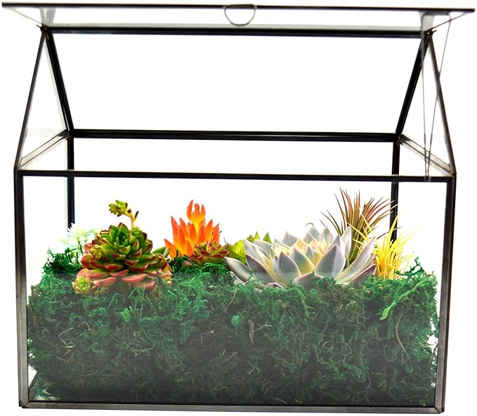 Terrarium, Large Black House-Shaped Glass Planter with Swing Lid