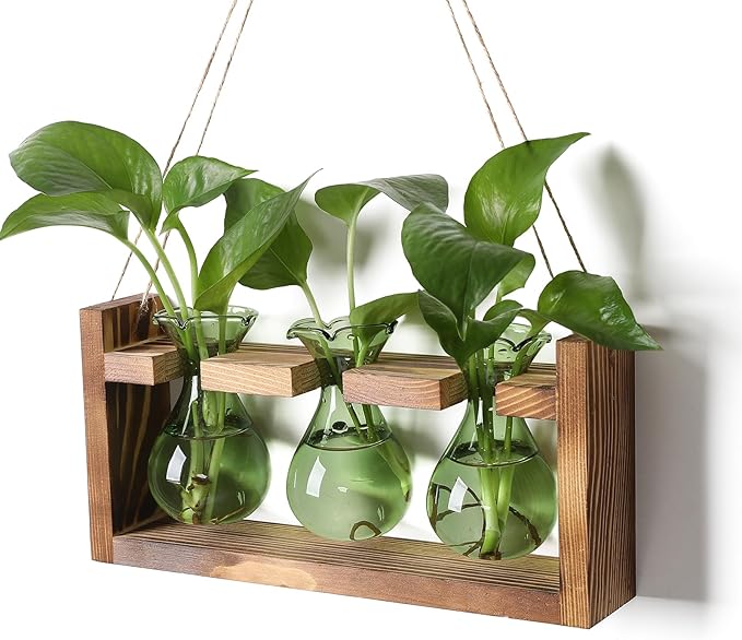 Terrarium Propagation Station, 3 Borosilicate Glass Bulbs with Wooden Stand
