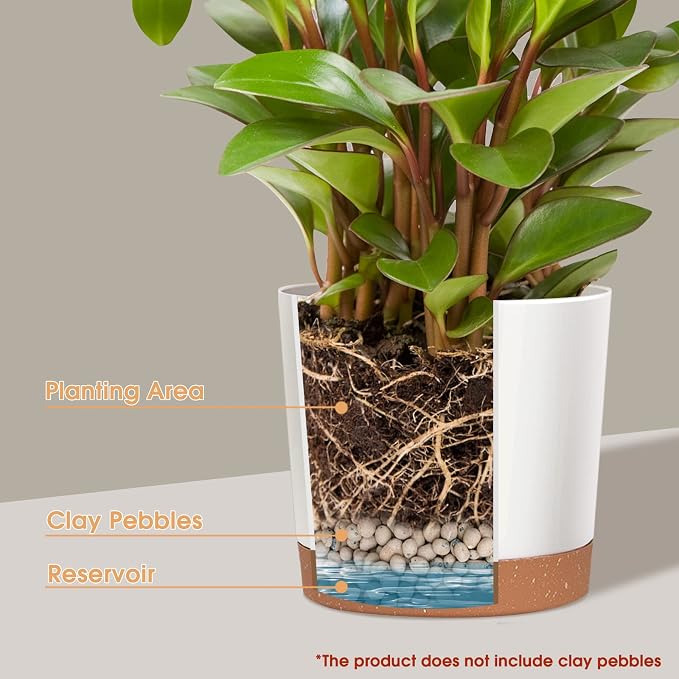 kubvici 2 Pack 8 Inch Planters for Indoor Plants, Plastic Flower Pots Plant - Image 4