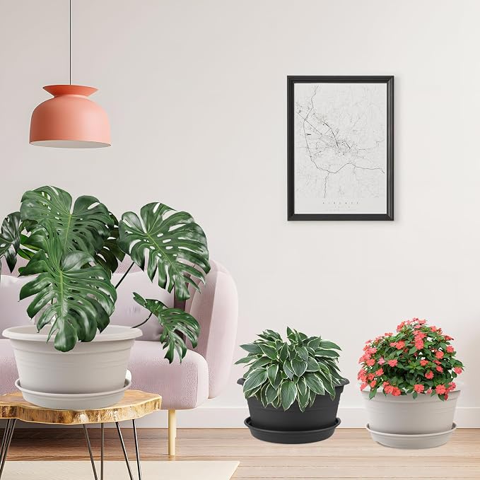6 Pack 10 inch Plant Pot, Outdoor Pots - Image 7