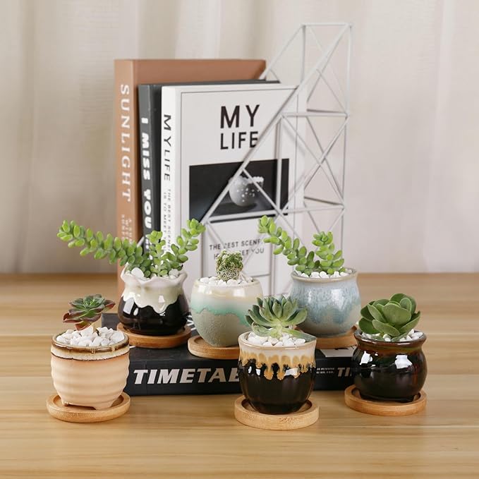 Ceramic Plant Pots, Set of 12 Glazed Mini Planters with Drainage Holes