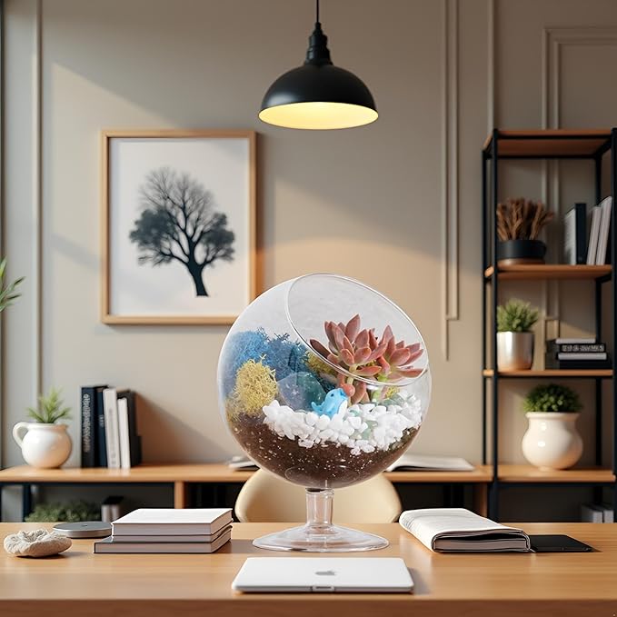 Terrarium Kit, Oval Glass Terrarium with Reindeer Moss, 6-Inch