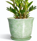 Ceramic Pots for Plants by SUNPOTFOR